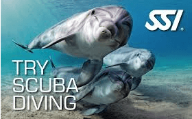  BAUTISMO, 1 INMERSIÓN DE INICIACIÓN TRY SCUBA