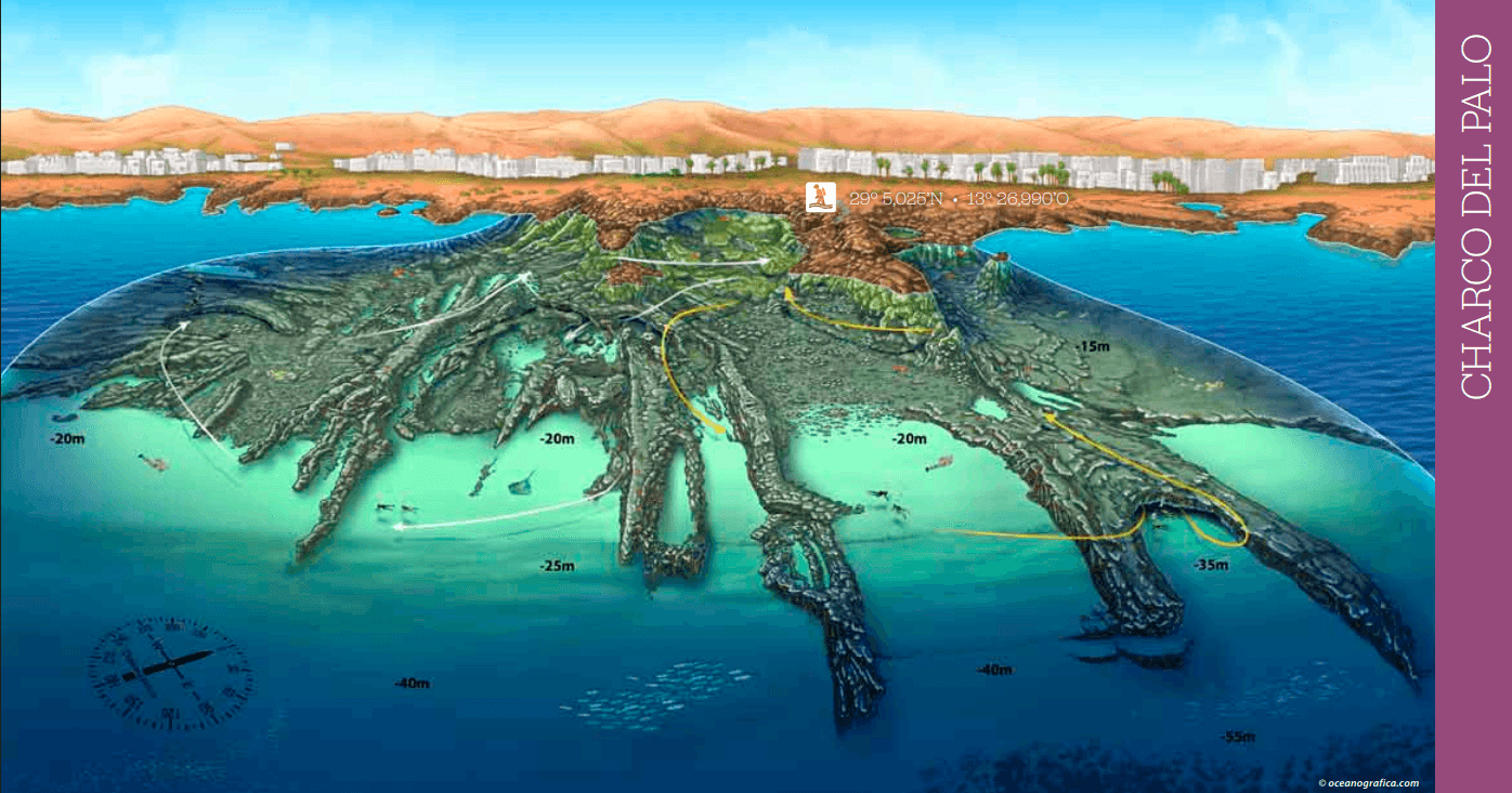 CHARCO DEL PALO