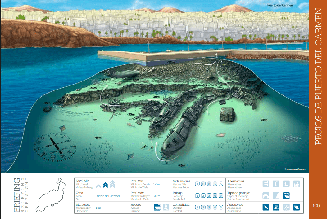 PECIOS DE PUERTO DEL CARMEN