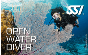 CURSO OPEN WATER DIVER